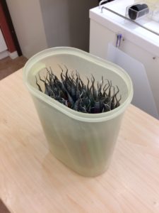 廃棄キュレット